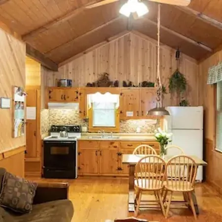 Cozy Cabin: River View With Hot Tub Dahlonega Exterior photo