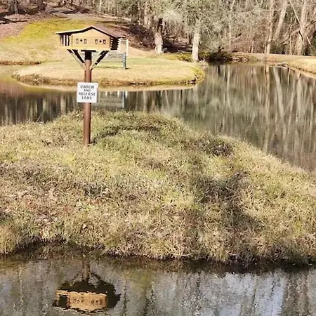 Cozy Cabin: River View With Hot Tub Dahlonega Exterior photo