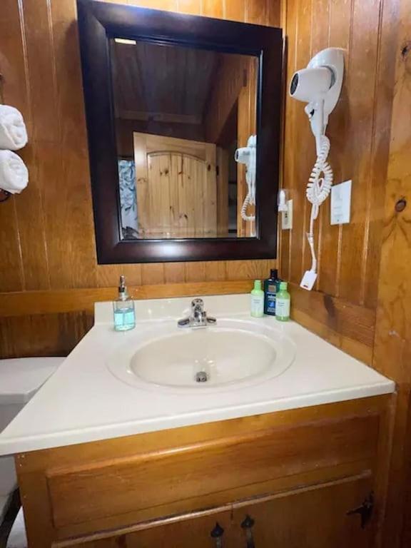 Cozy Cabin: River View With Hot Tub Dahlonega