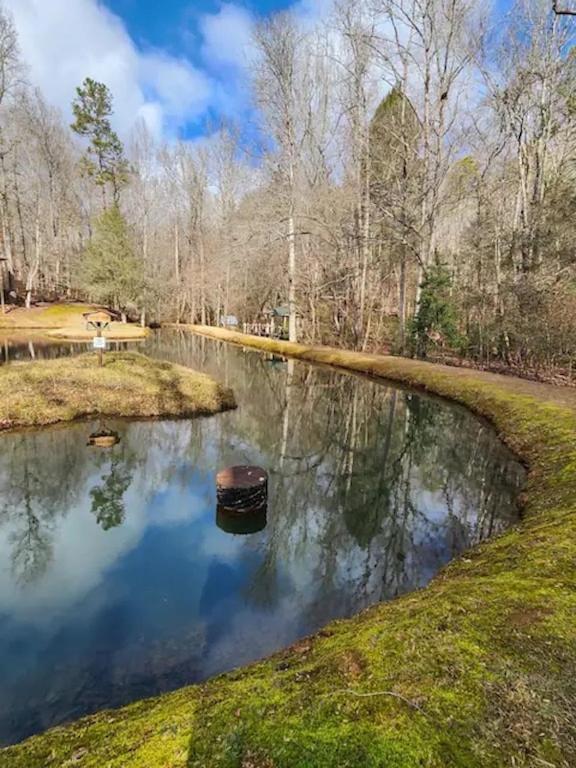 Cozy Cabin: River View With Hot Tub Hébergement de vacances *